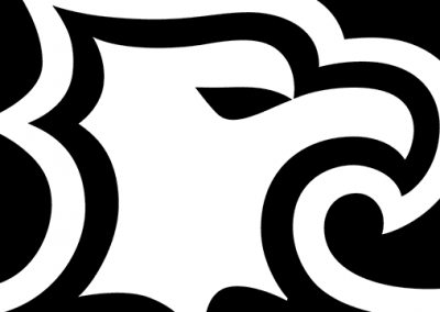 D.C. United | United We Evolve