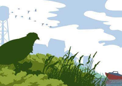 Eastern Shore Land Conservancy (ESLC) | Water System Explainer Animations