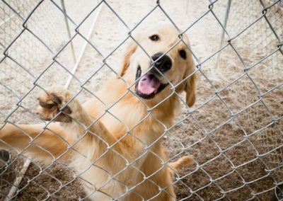 PANDORA Jewelry | Hearts of Today